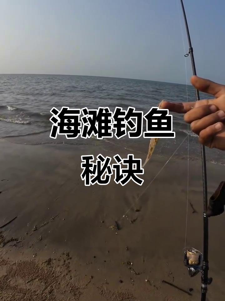 蜈蚣勾海钓(海蜈蚣钓鱼正确钩法)