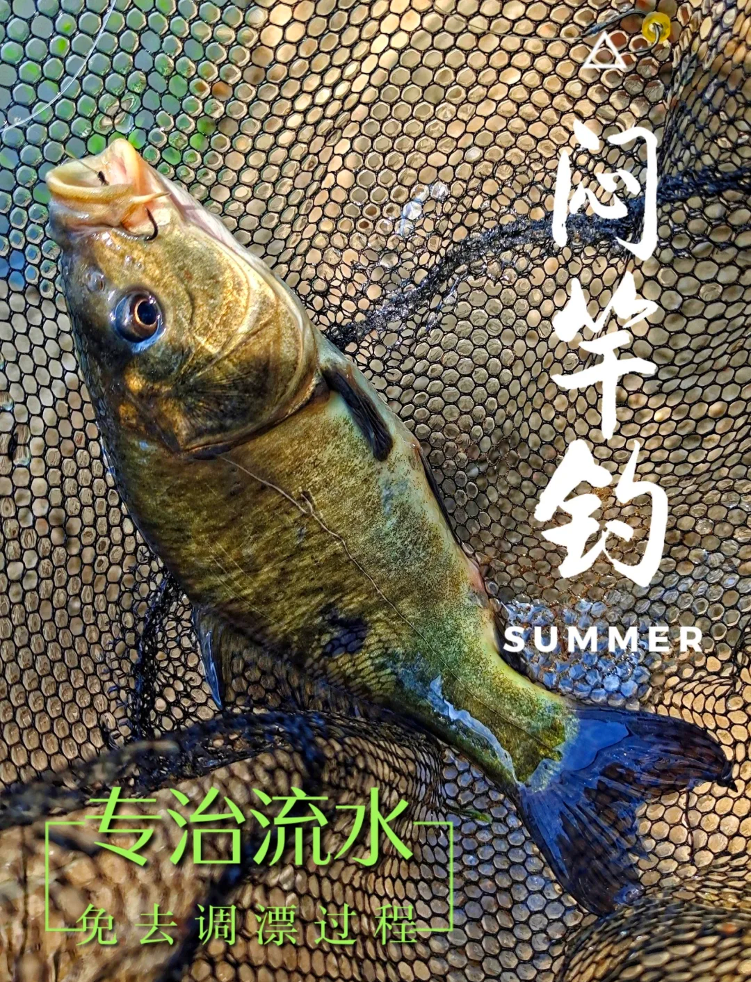 闷竿钓鱼起竿技巧(闷竿钓鱼起竿技巧和方法)