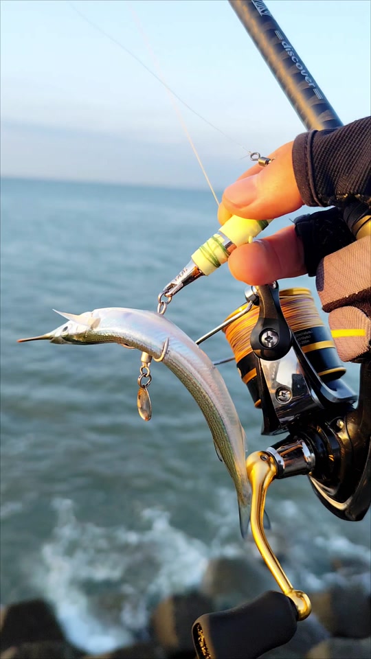 近台海钓(近海海钓视频)