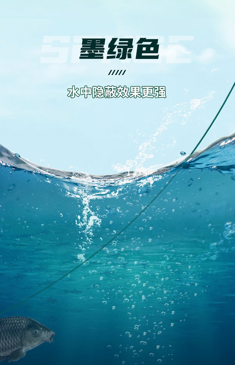 海钓带鱼鱼线(海钓带鱼与其他带鱼的区别)