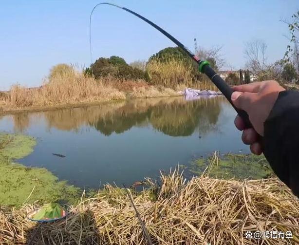 冬季海钓鲫鱼(冬天海杆钓鲫鱼用什么鱼钩)