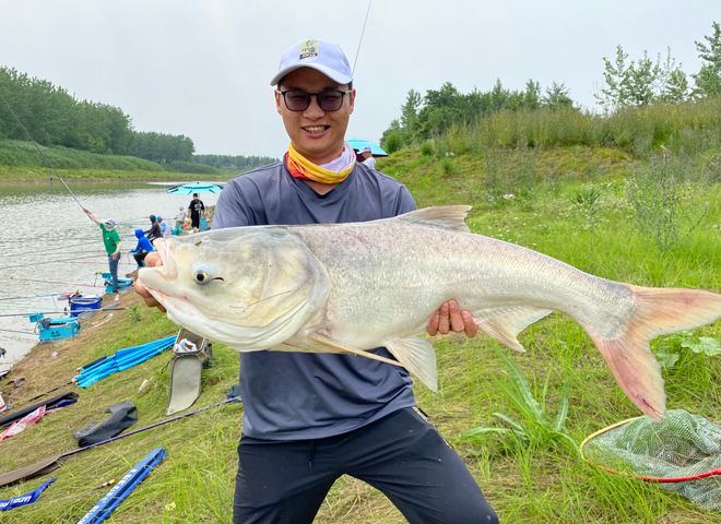 秋天钓胖头鱼技巧(秋季钓胖头鱼要用什么饵料)