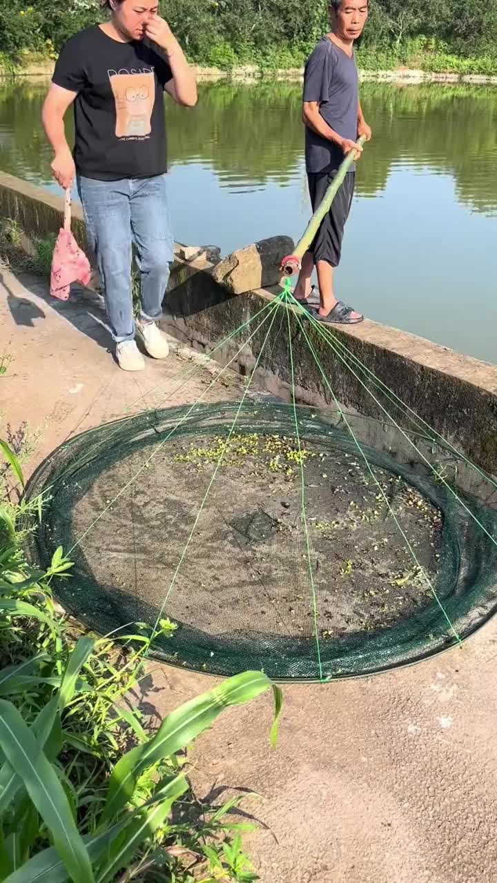 双流渔具生(双流鱼缸交易市场)