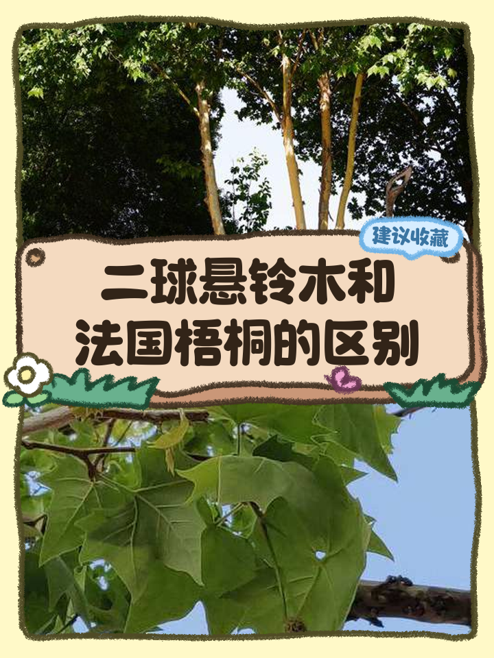 桐木的连接技巧的简单介绍