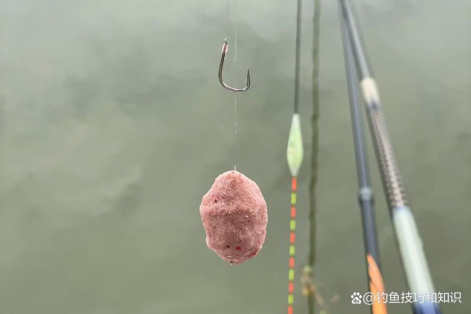 手竿锚鲢鱼技巧(手竿锚钩浮钓鲢鳙鱼的技巧方法)