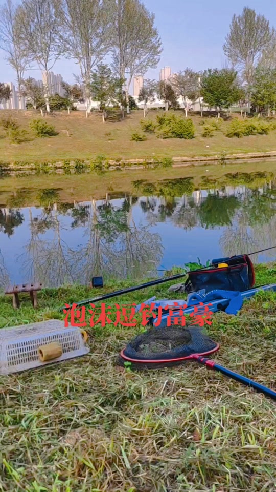 水库逗钓鲤鱼技巧(水库钓鲤鱼如何调漂图解)