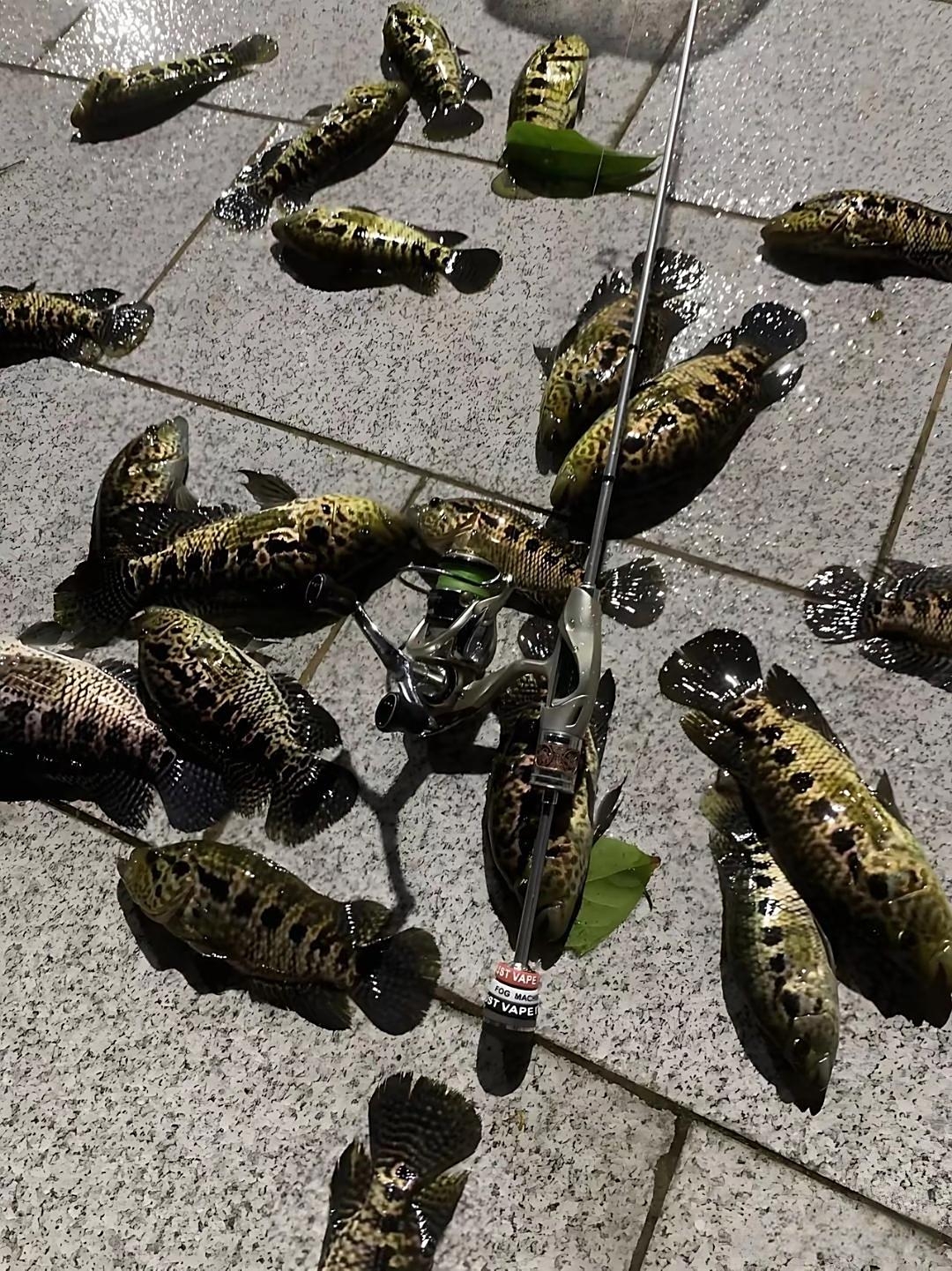 梓潼仙海钓鱼(绵阳仙海现在钓鱼收不收费)