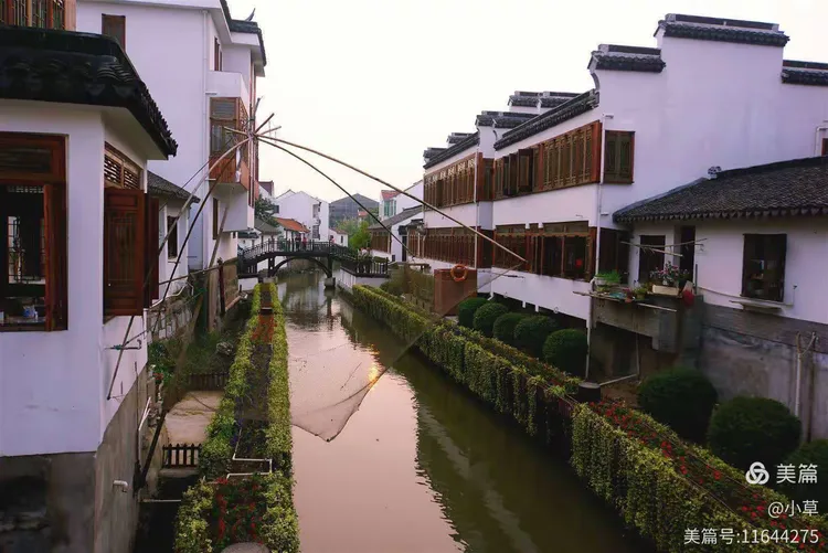 青浦小草渔具(水上貂渔具有限公司)