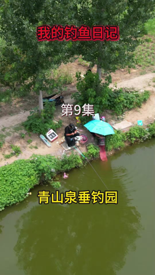 秋天黑坑有风钓鱼技巧(秋天钓黑坑选择什么位置)