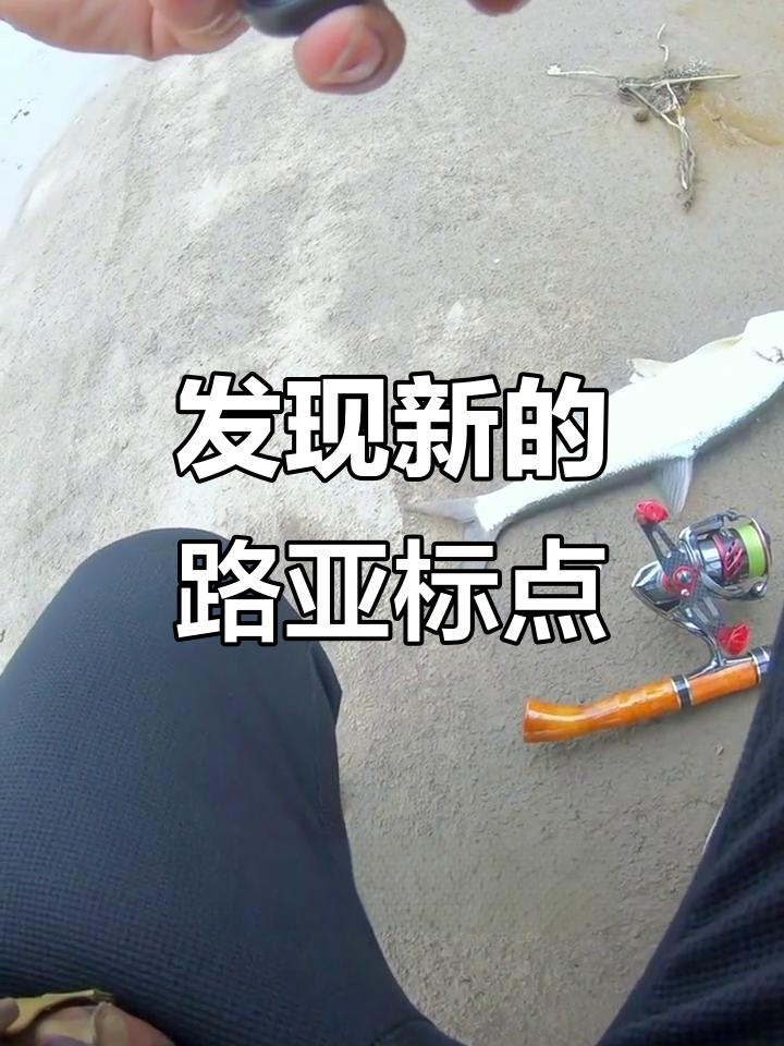 路亚标点图(路亚的标点是什么意思)