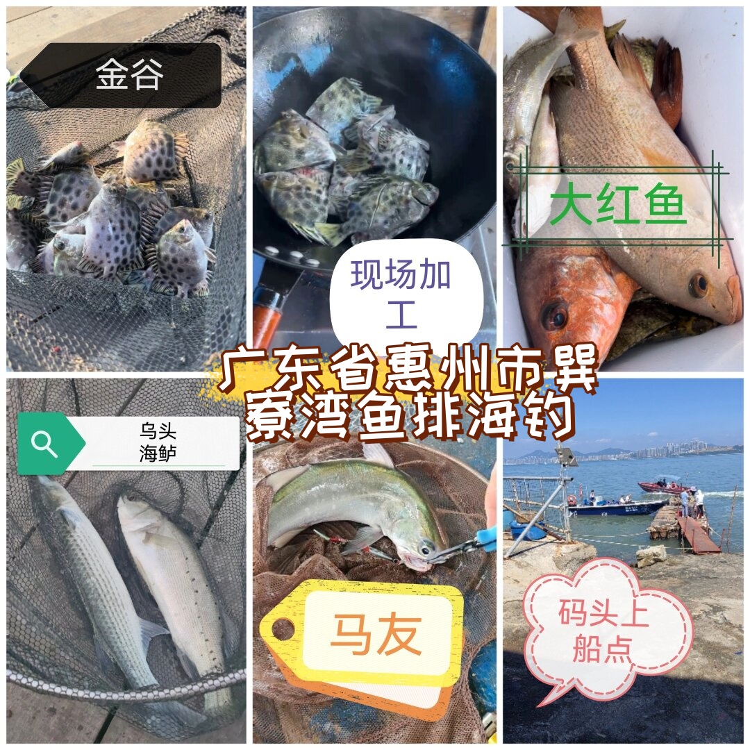 惠东海钓钓点(惠东县哪里有鱼钓) 惠东海钓钓点(惠东县哪里有鱼钓)
