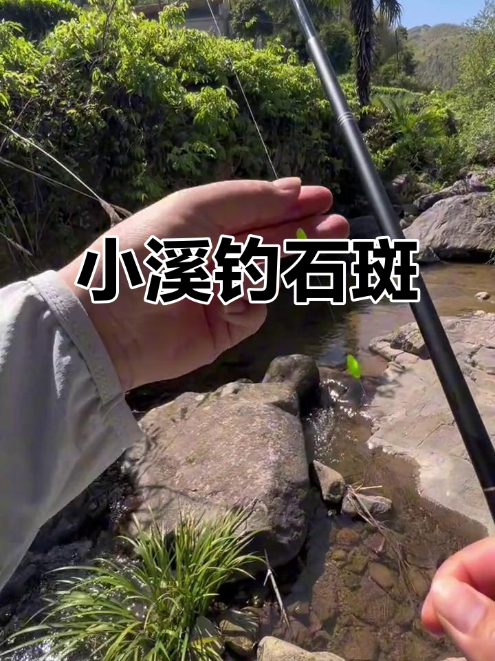 浙江小溪钓鱼技巧(浙江小溪里常见的小鱼)