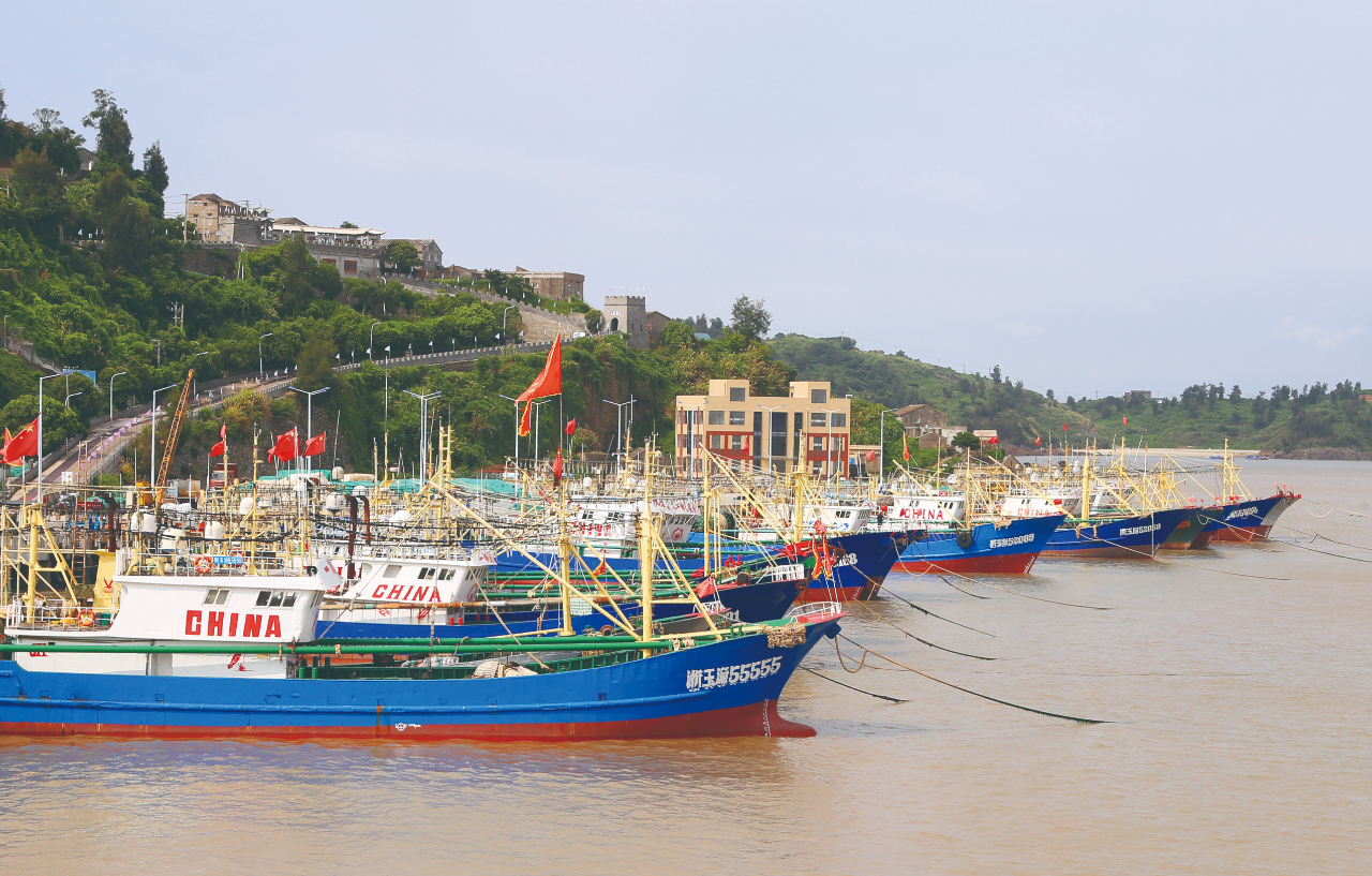 玉林大个渔具(玉林最大活鱼批发市场在哪)