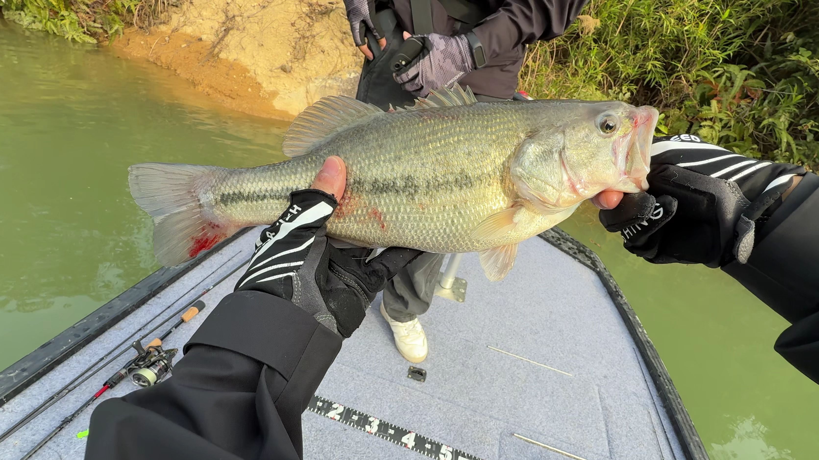 琵琶湖路亚(琵琶寺水库钓鱼)