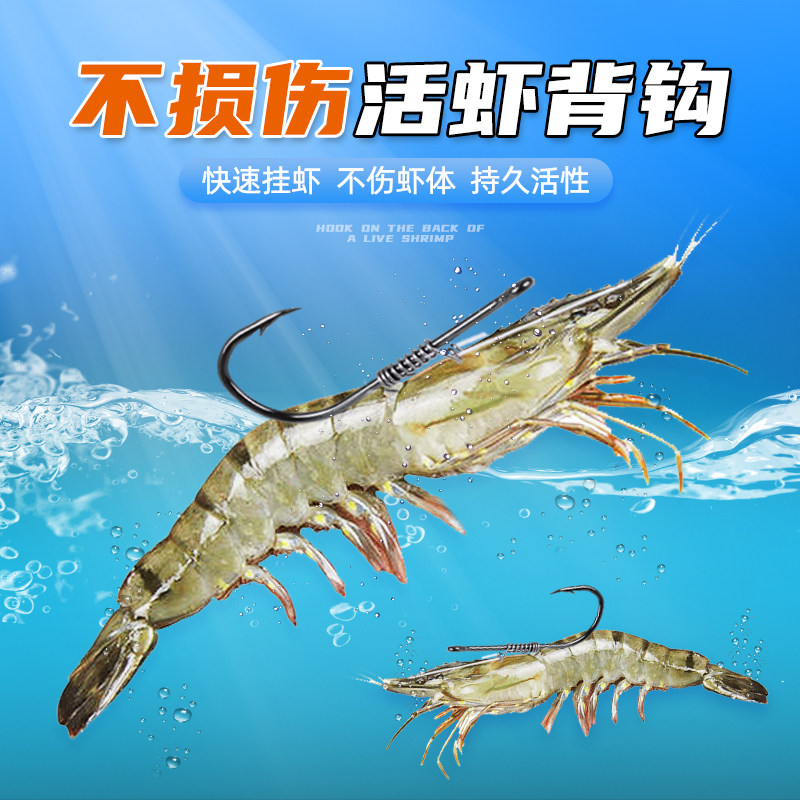 海钓虾几个钩(海钓用虾做饵怎样挂钩)