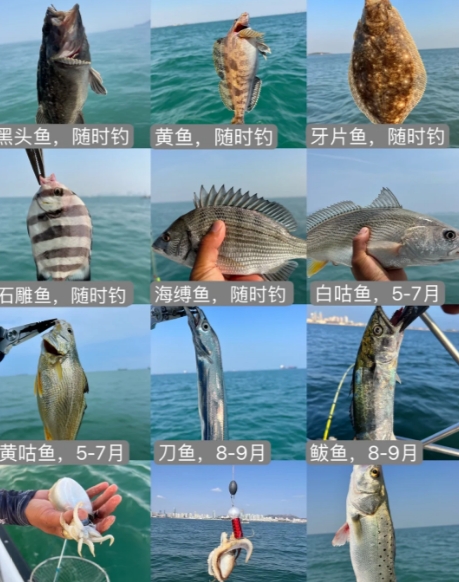 用玉米可以海钓吗(到大海钓鱼用玉米钓好吗)