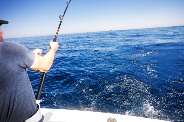 大潮排钓鲈鱼海钓(海钓鲈鱼是钓张潮好还是钓退潮好)