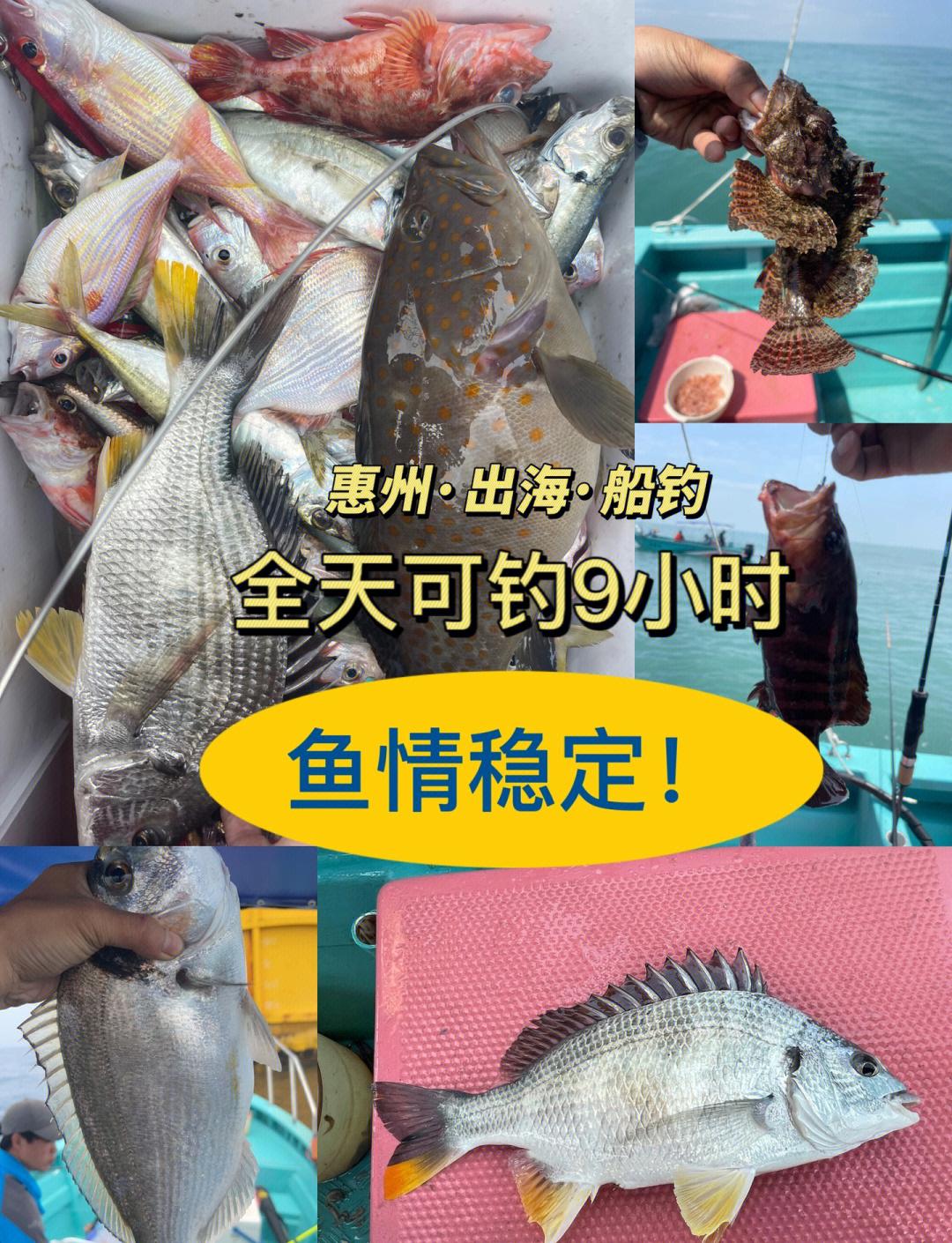 惠州野海钓(惠州海边野钓的地方) 惠州野海钓(惠州海边野钓的地方)