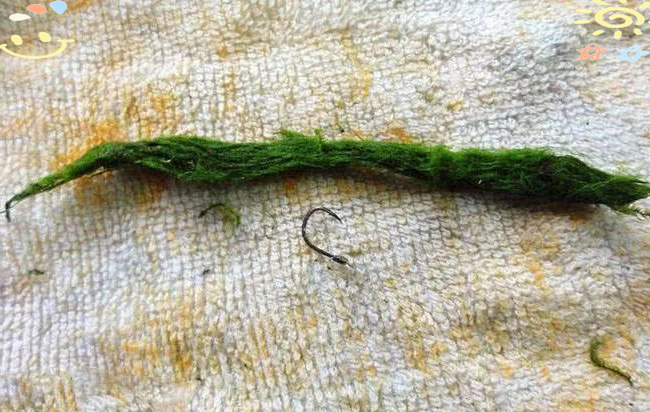 盘车钓拖线技巧(盘车钓法调漂视频)