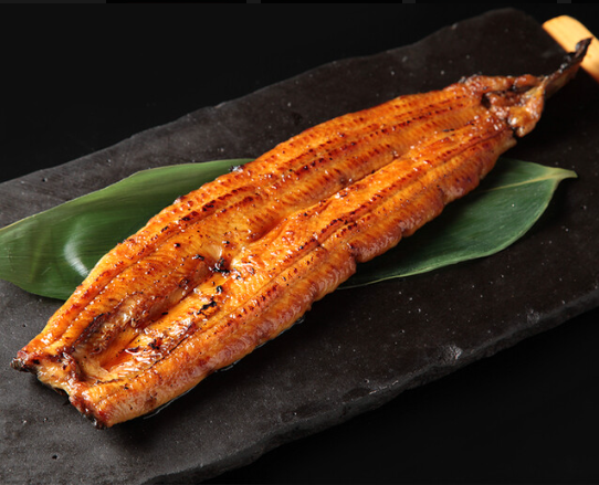 鹤针鱼路亚(路亚钓适合钓什么鱼)