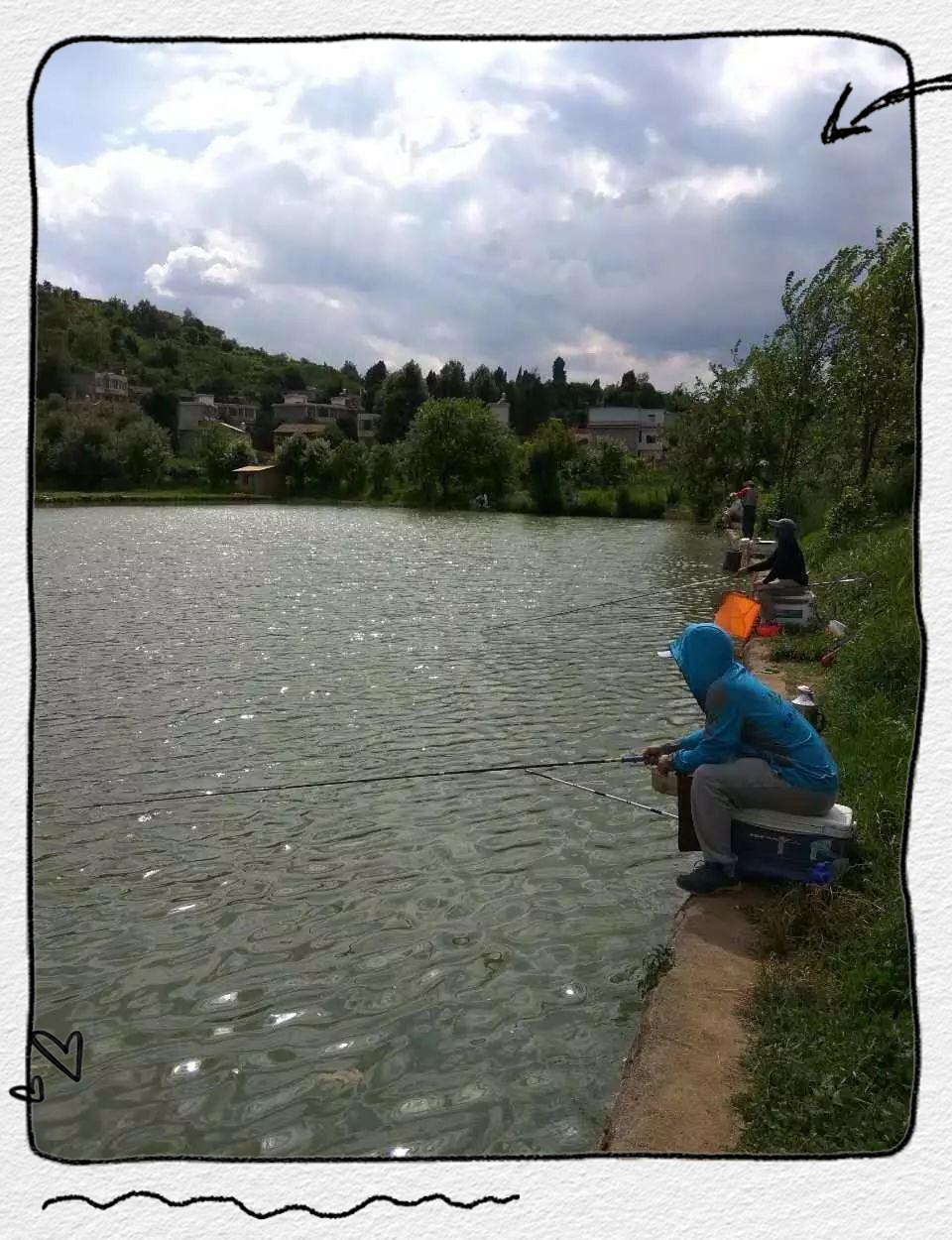 大师谈黑坑偷偷驴技巧(钓鱼说的黑坑偷驴是什么意思)