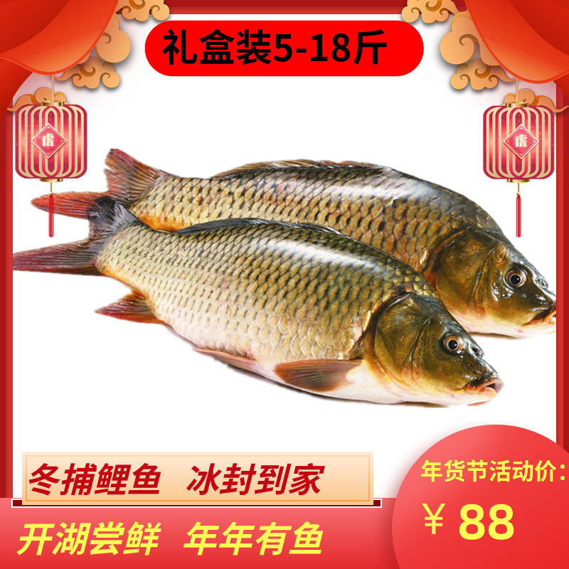 松花江挂鱼技巧(松花江挂鱼技巧和方法)