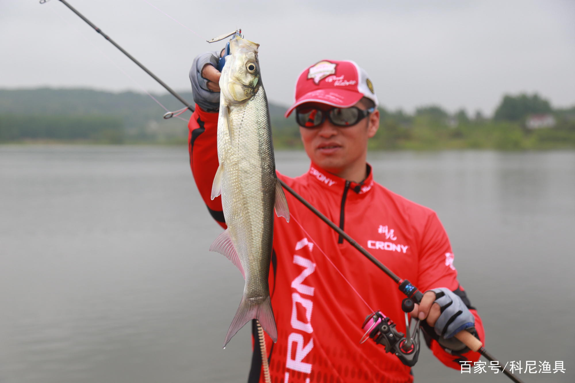 2020黄金联赛路亚(bkk杯中国路亚黄金联赛)