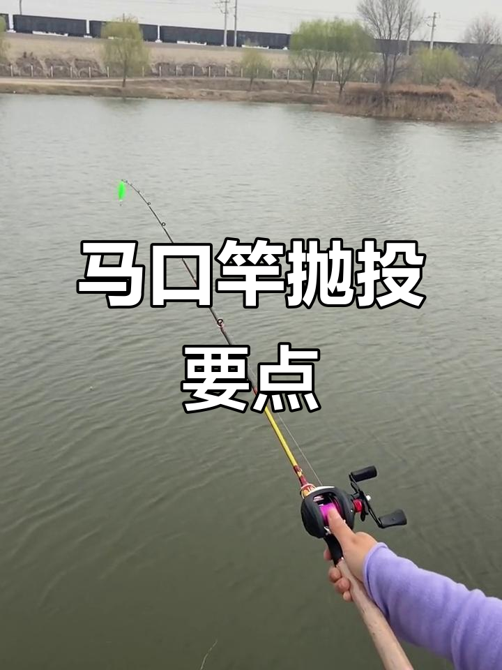 抛竿钓鱼技巧视频(抛竿钓鱼技巧视频大全)