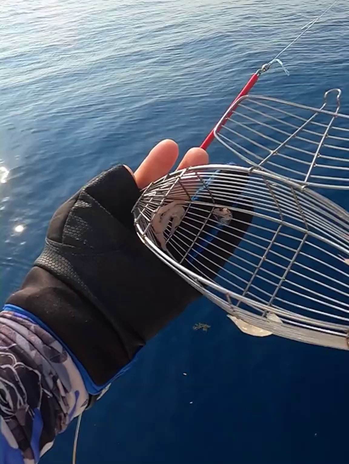 海钓诱饵笼子(海钓饵笼的正确用法)