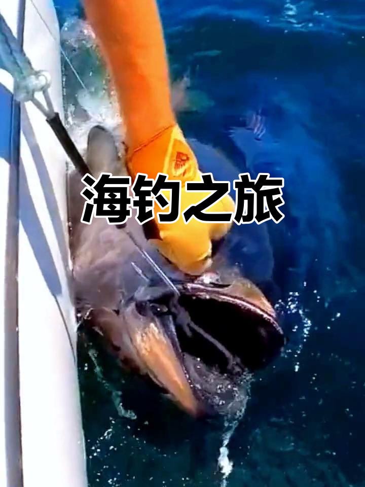 广州出海海钓包船(广州有船出海钓鱼吗)