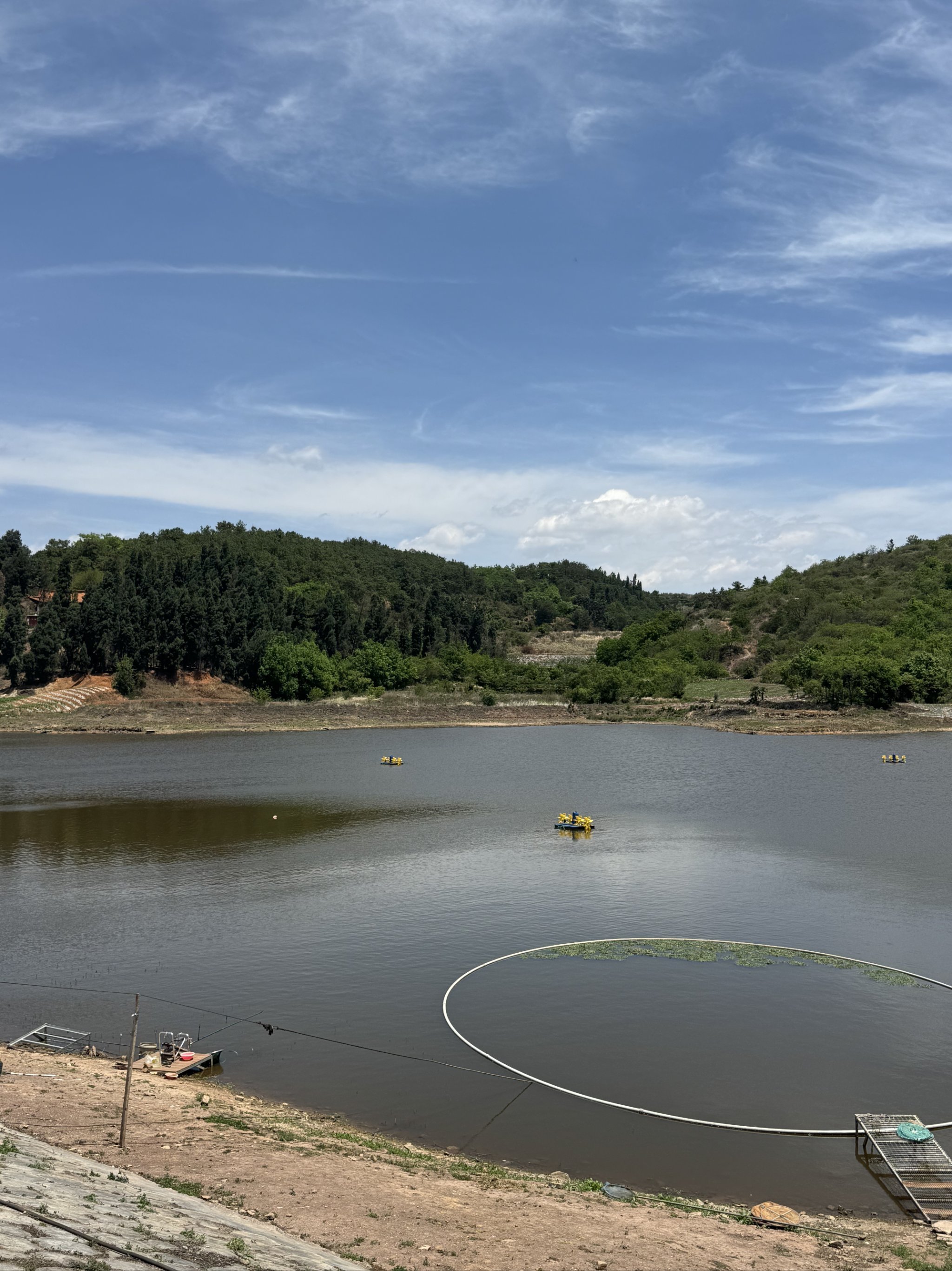 罗定路亚钓场(罗定有哪些水库免费钓鱼的)