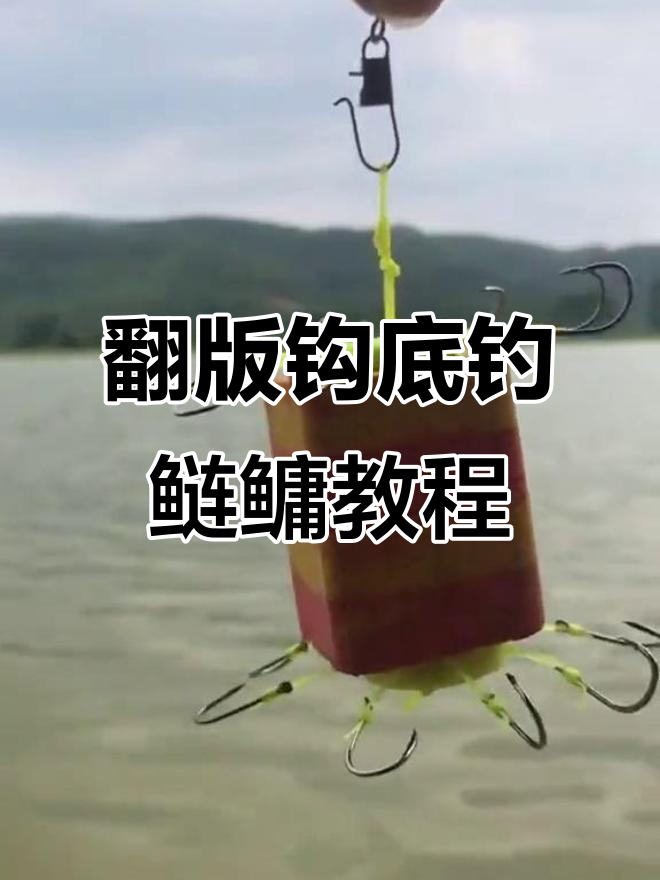 饵料的正确挂钩方式(饵料怎么挂钩视频教程)