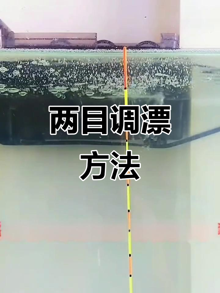 钓鱼调水平技巧(钓鱼调水平技巧视频)