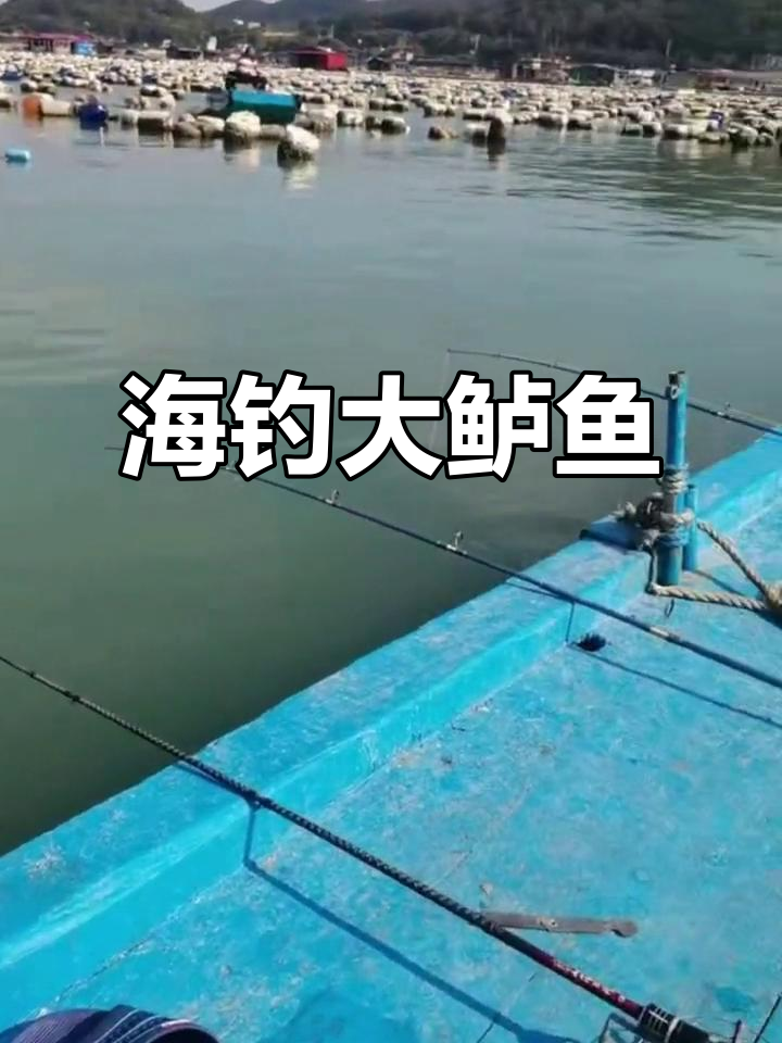 什么月份海钓鲈鱼(什么月份海钓鲈鱼最好钓)