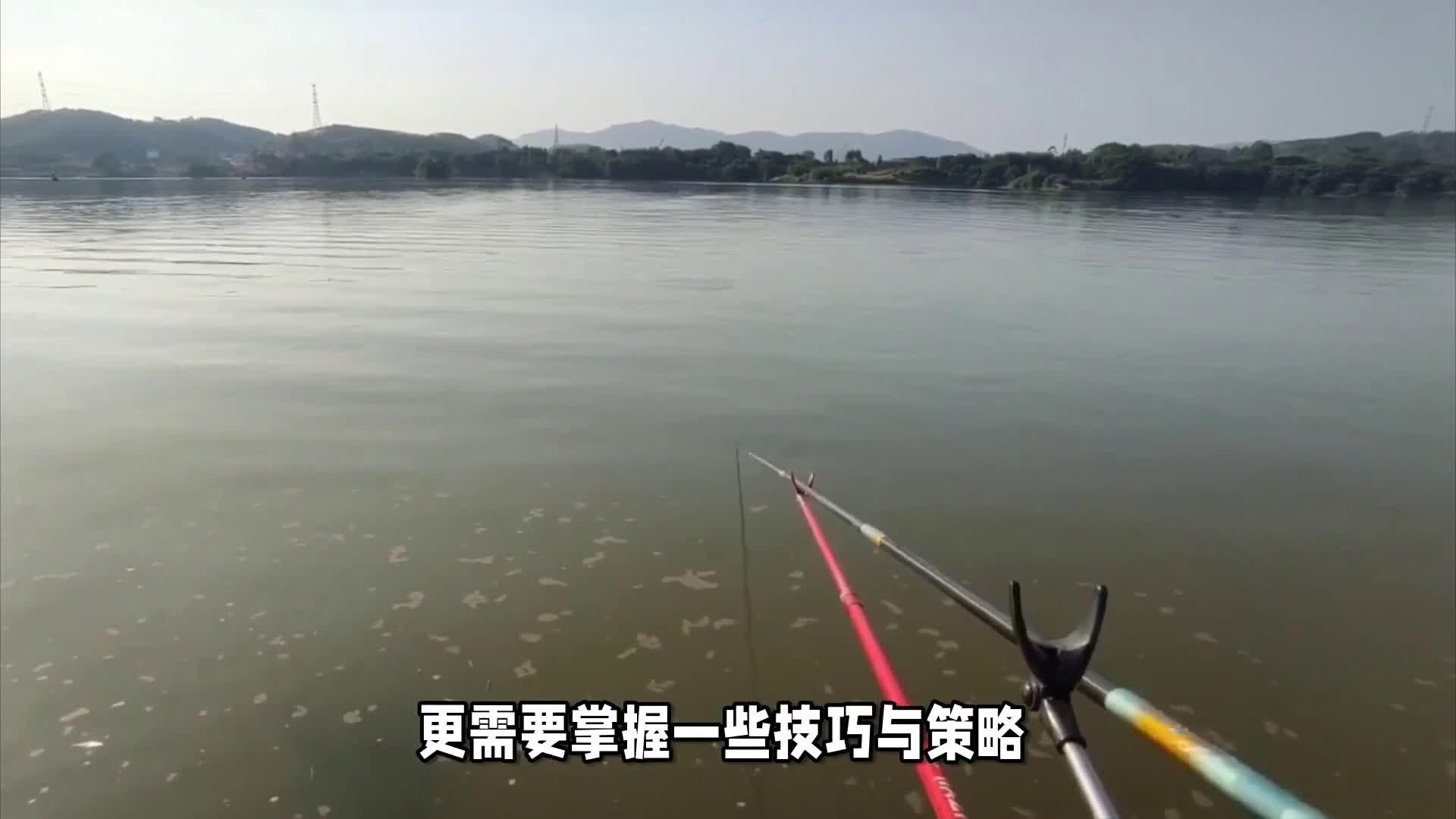 南方江河流水钓鱼技巧(南方河里钓鱼用什么鱼饵)