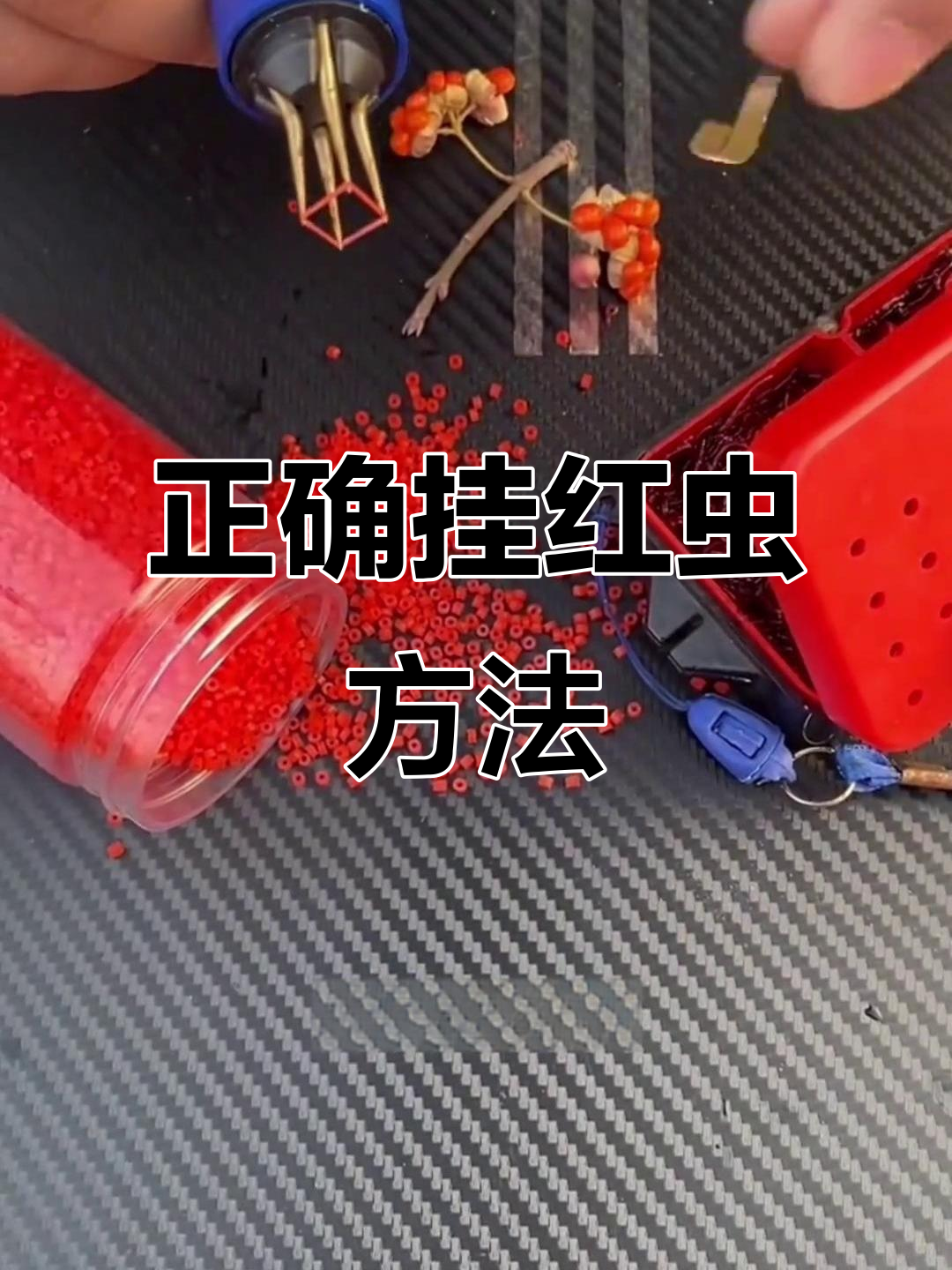 用红虫的钓鱼技巧(用红虫的钓鱼技巧视频)