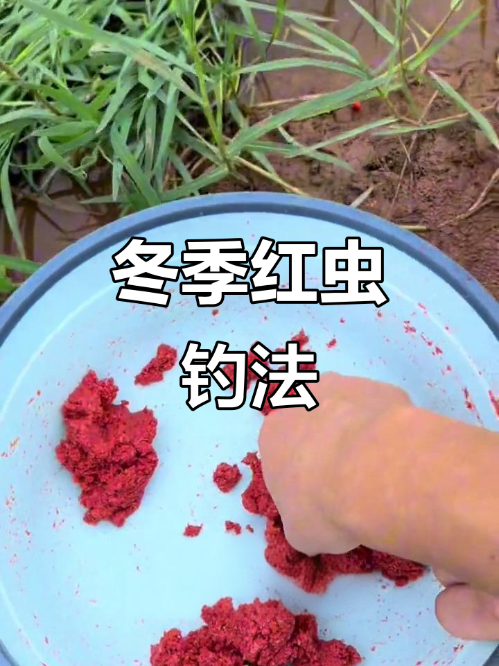 用红虫的钓鱼技巧(用红虫的钓鱼技巧视频)