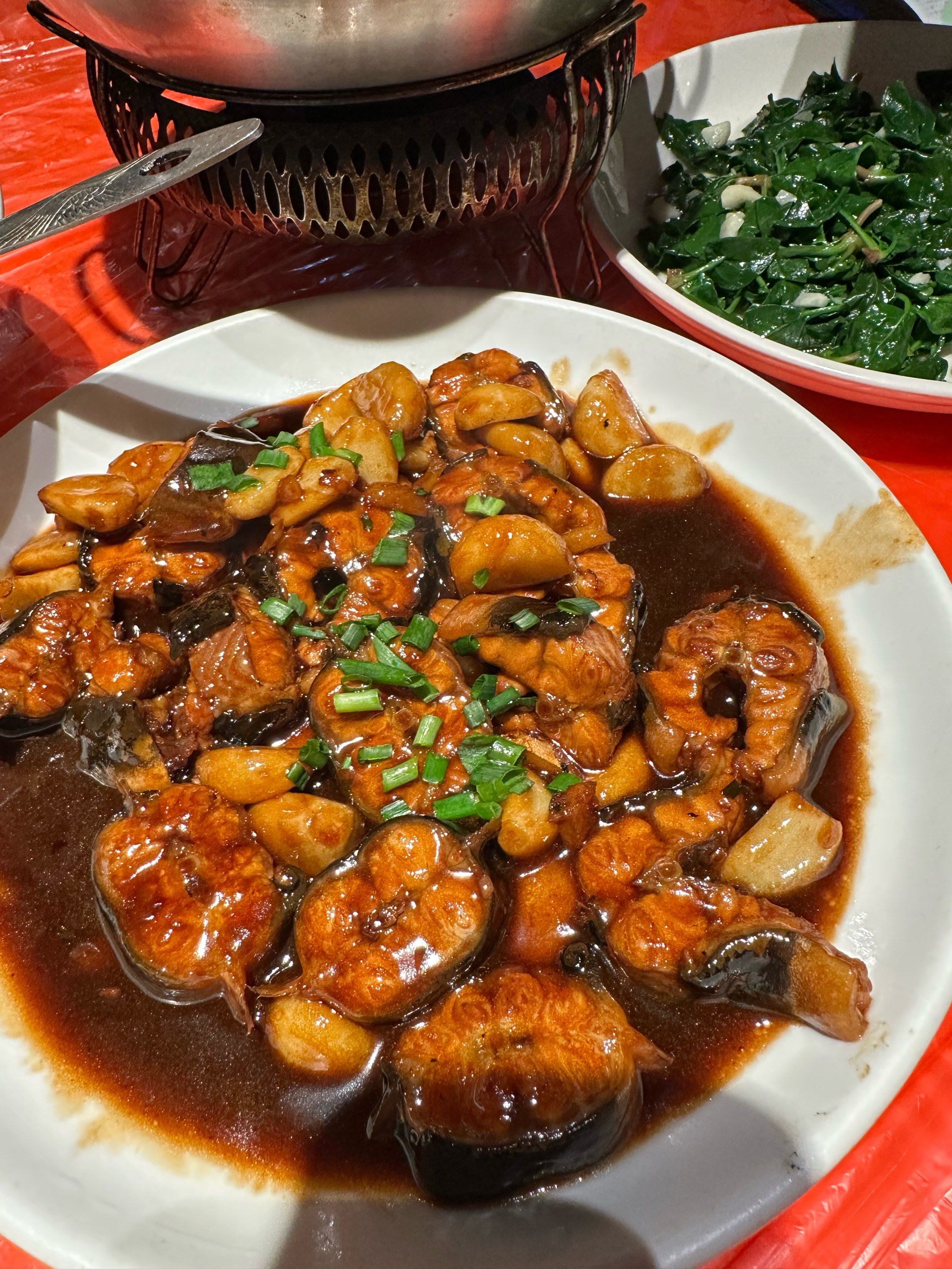 崇明瀛东路亚(中国路亚十大品牌)