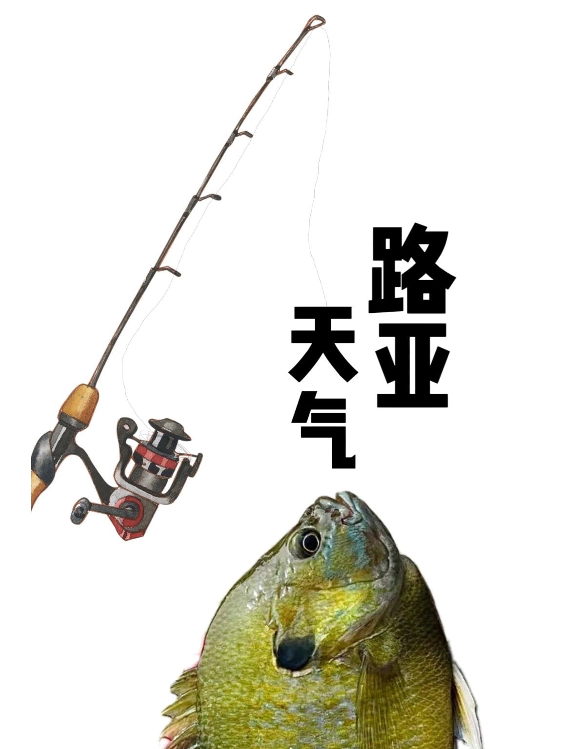 风浪天气路亚(风浪大路亚翘嘴)