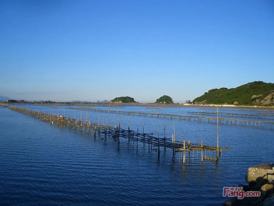 蚝排建设技巧(没有工具怎么开生蚝)