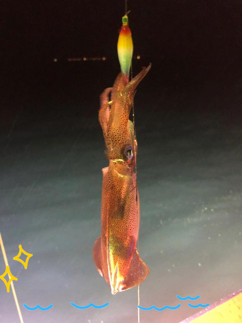 海钓能夜钓吗(海钓夜晚好钓鱼吗)