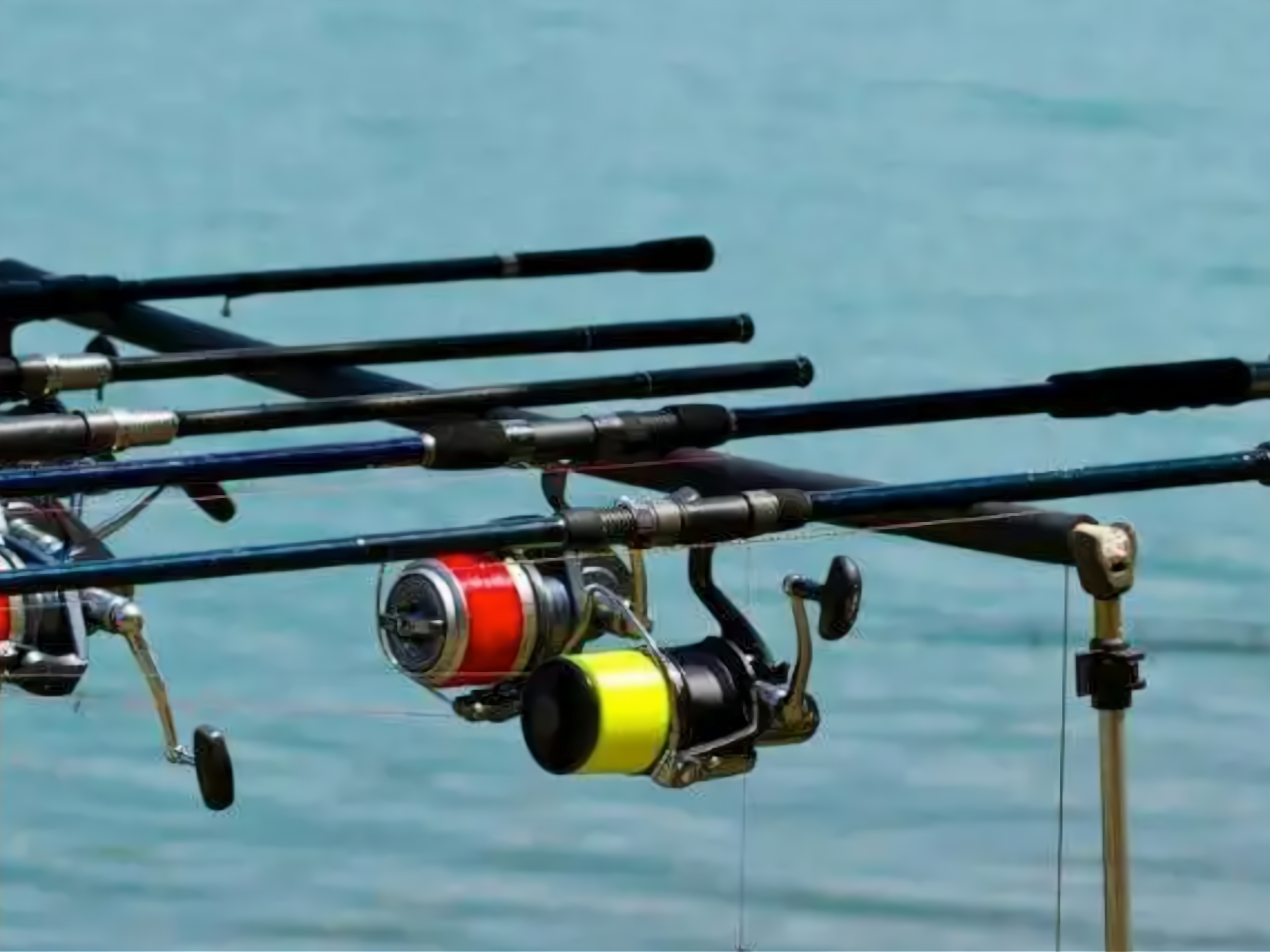 吉安贸易广场阳光渔具(吉安贸易广场一条街在哪里)