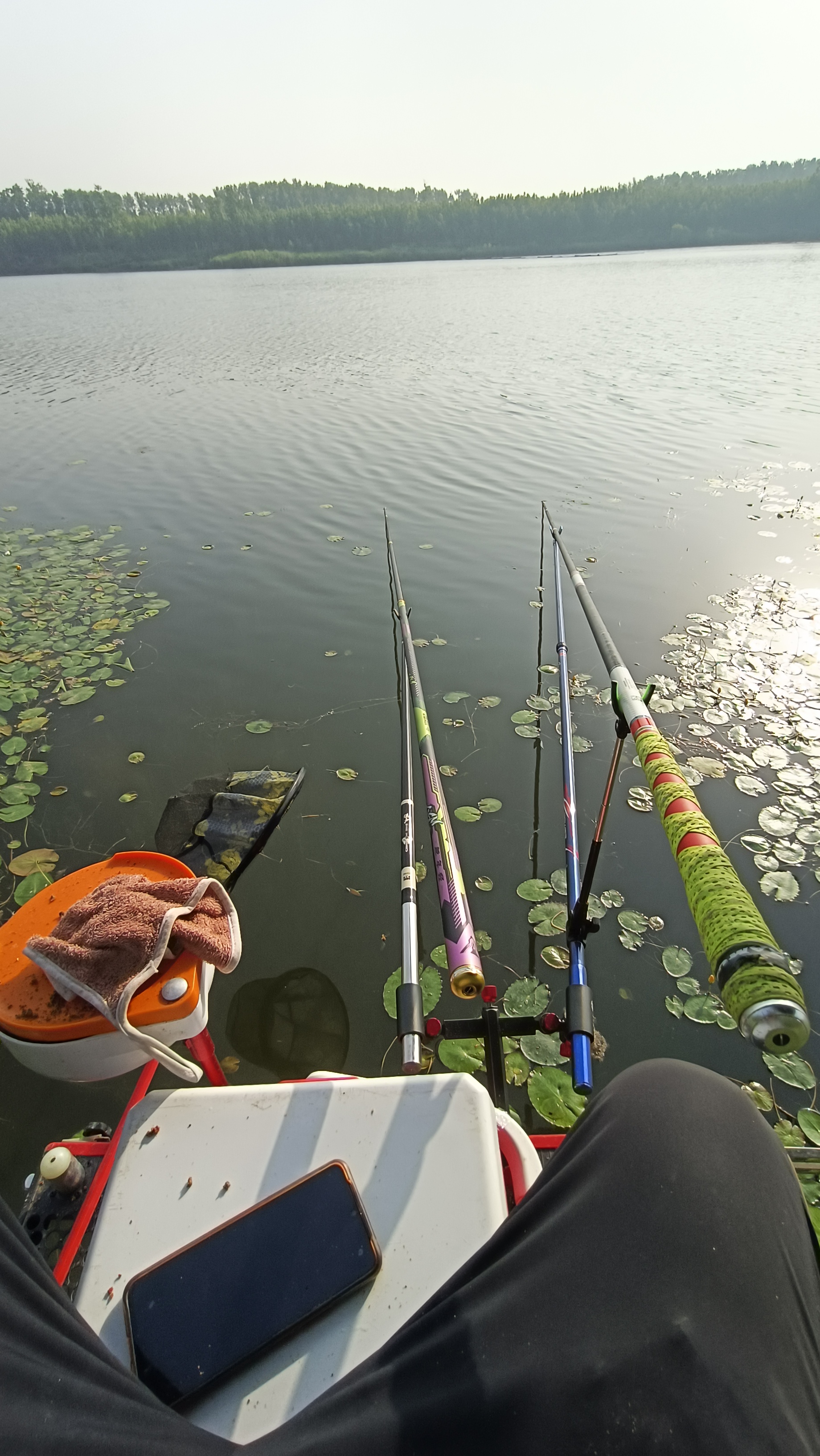 早春饵料不好钓鱼(早春钓鱼用什么小药)
