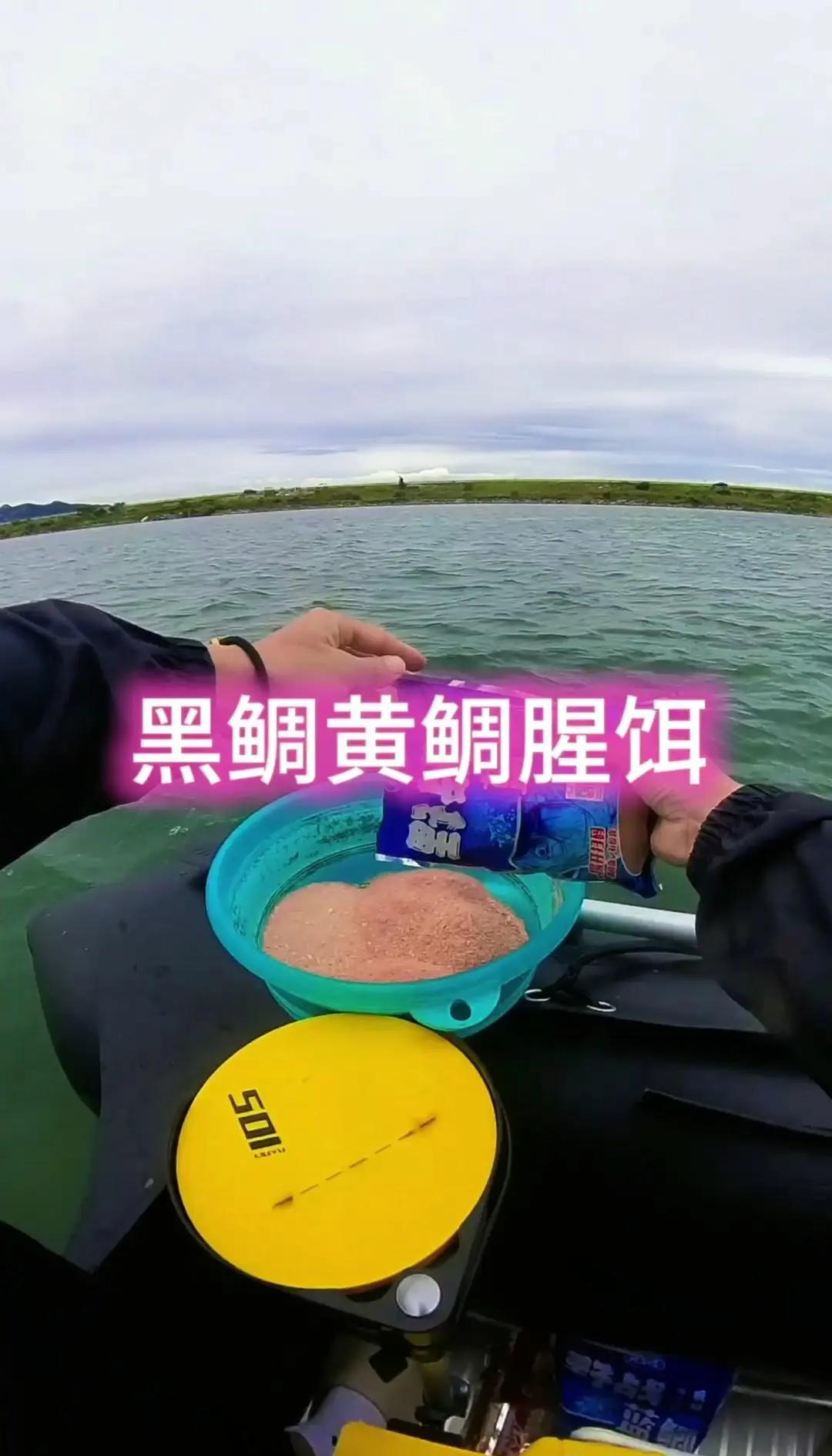 码头钓黑鲷的技巧(码头钓黑鲷的技巧图解) 码头钓黑鲷的技巧(码头钓黑鲷的技巧图解)