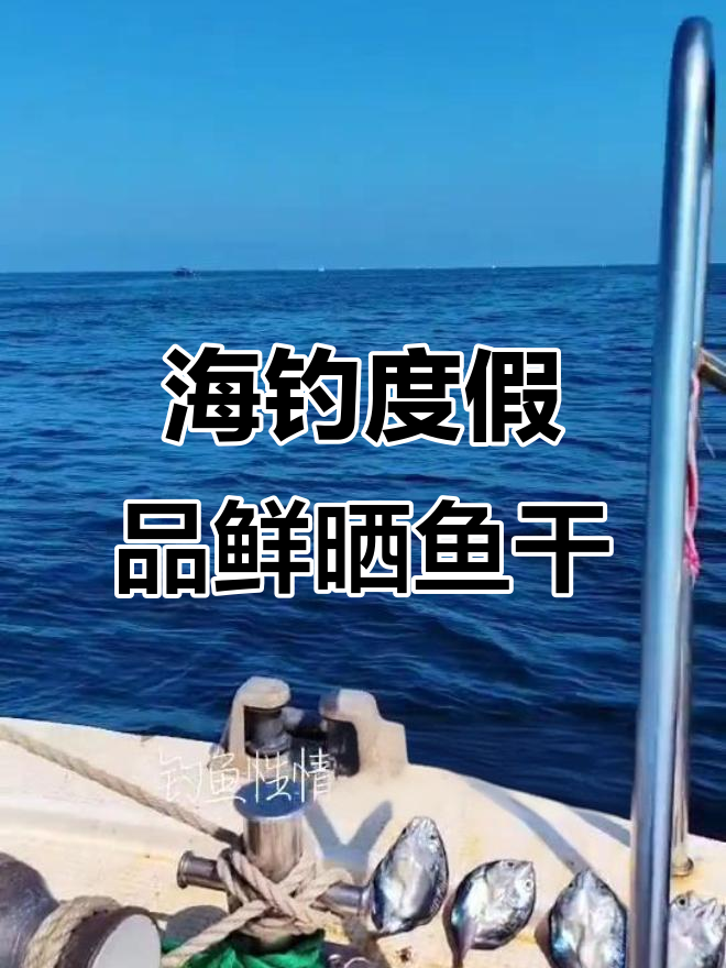 大连章子岛海钓(辽宁章子岛有什么好玩好吃)