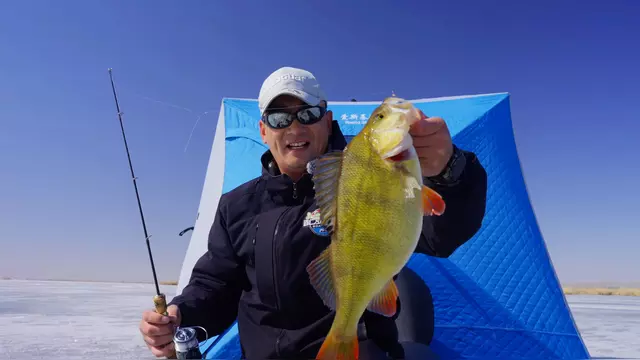 新疆路亚钓场(新疆可以路亚什么鱼)