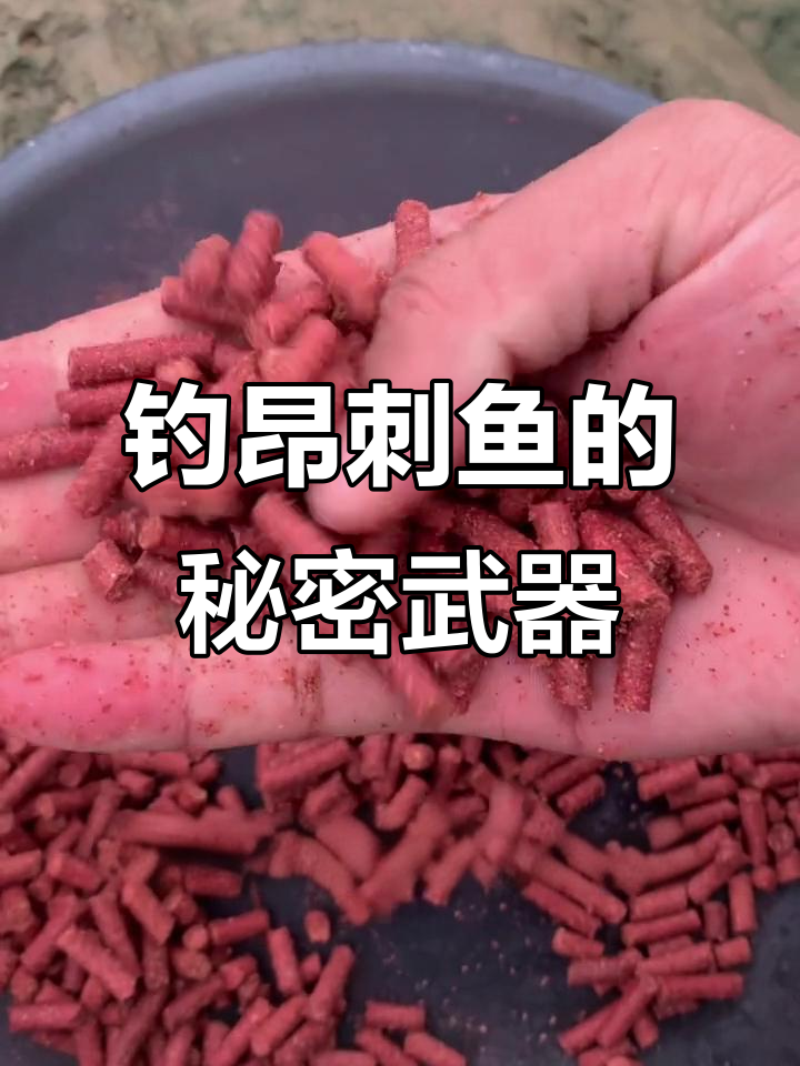 白天钓昂刺技巧(昂刺鱼早上好钓吗)