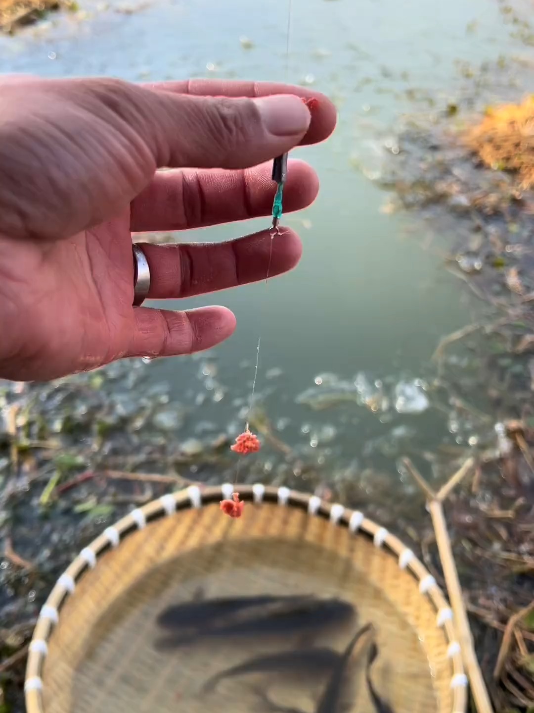 湖库冬季钓鱼技巧视频(湖库冬季钓鱼技巧视频讲解)