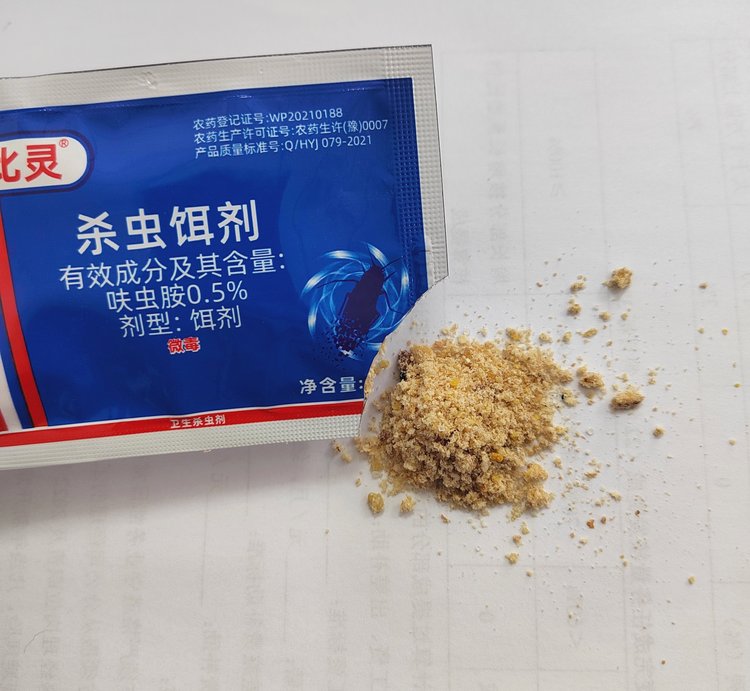 昆虫饵料(昆虫饵钓什么鱼)