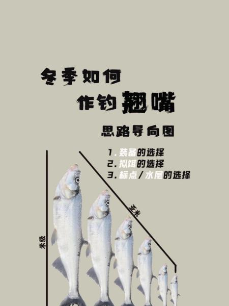 冬季撒鱼技巧(冬天撒网捕鱼效果好吗)